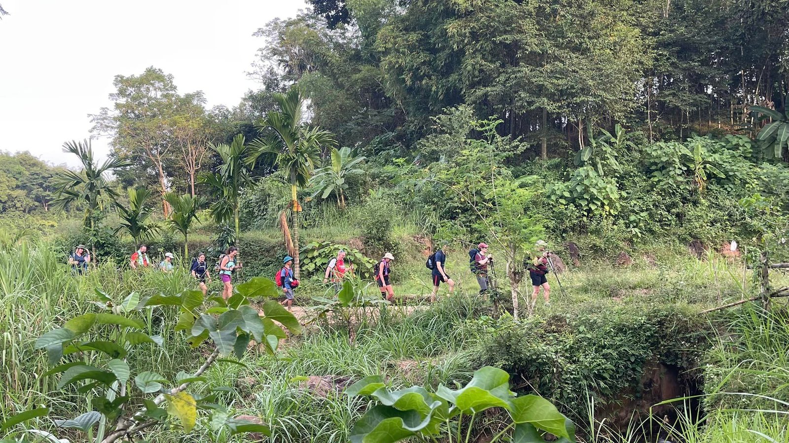 North Vietnam 4 Day Tour Mai Chau, Ninh Binh, Halong Bay